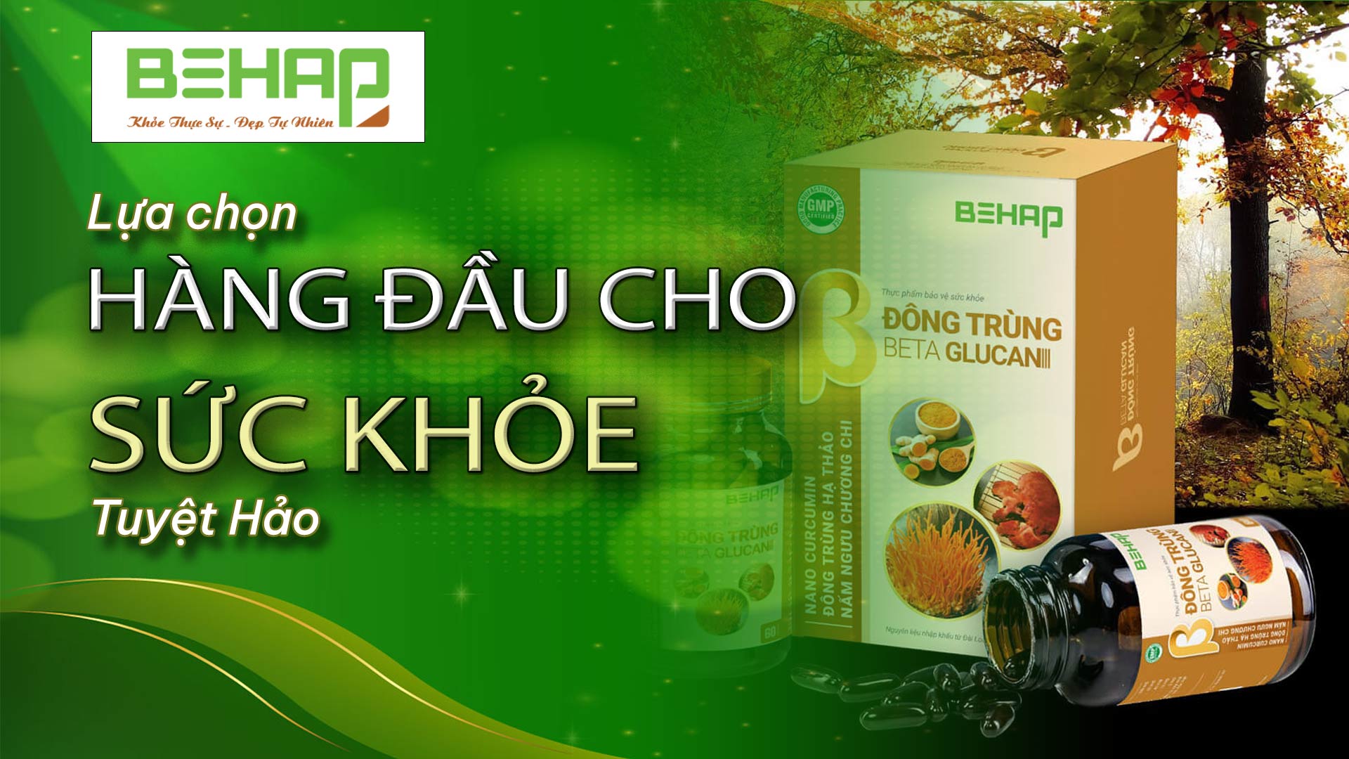 Đông Trùng Beta Glucan: Lựa Chọn Hàng Đầu Cho Sức Khỏe Tuyệt Hảo